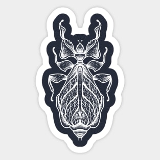 Insect hiji Sticker